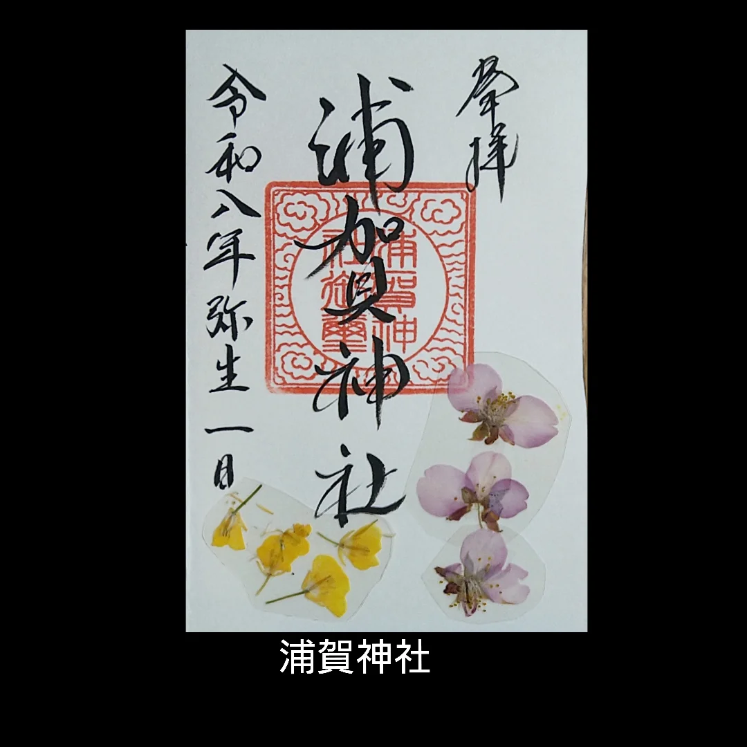舊中川河津櫻 桜
